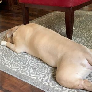 Meet your Posher, Casey